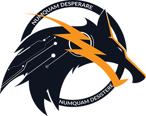 PETIR Cyber Security logo